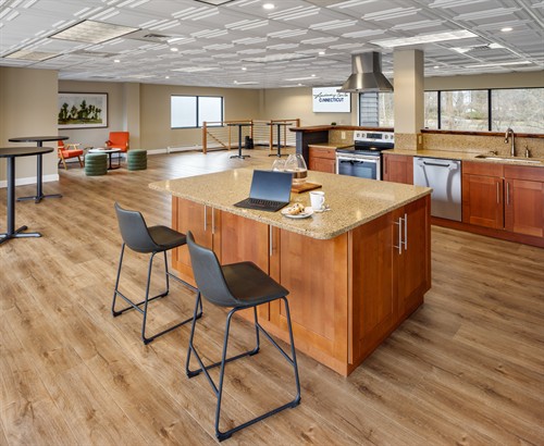 Visionary Suite: Kitchenette