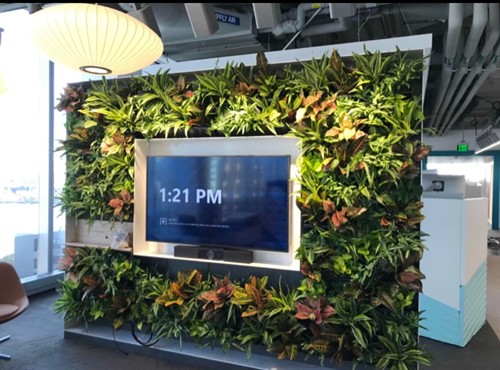 Gallery Image 50600.jpg