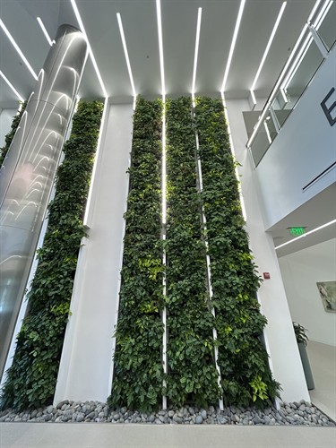 Gallery Image IMG_0038.jpg