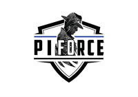 PI FORCE, LLC