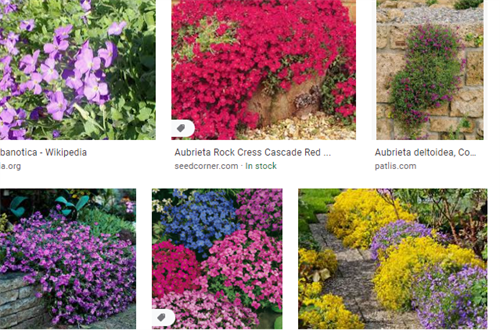 Gallery Image Capture.PNG