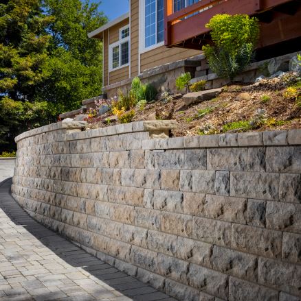 Gallery Image belair_wall.JPG