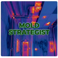 Infinitely Crafted LLC dba Mold Strategist - Rohnert Park