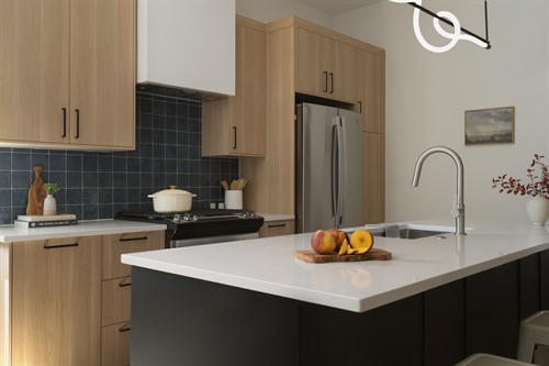 Gallery Image BVS-JCD-DENSON-KITCHEN-1-EDITORIAL-ANGLE-VIEW-HORIZTONAL-08-15-2025.jpg