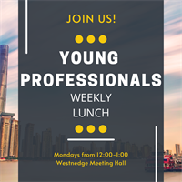 Young Professionals Networking Lunch