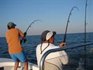 Tradewinds Tackle Tradewinds Tackle
