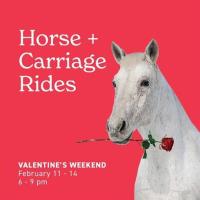 Valentine’s Day Horse + Carriage Rides