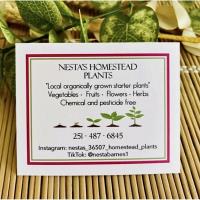 Nesta's Homestead Plants 