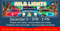 Wild Lights - Holiday Jeeps and More