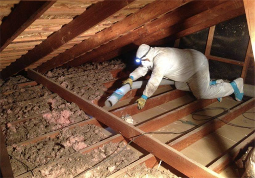 Removing rat infested insulation 