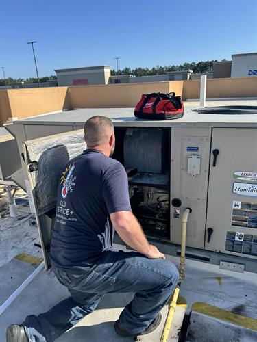 Gallery Image IMG_7166.jpg