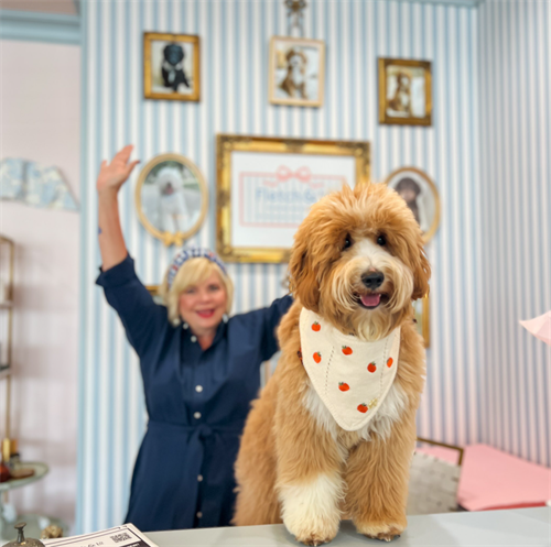 Gallery Image Screenshot_2025-11-11_133753.png