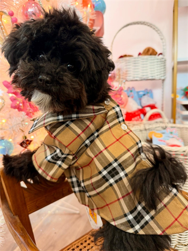 Gallery Image Screenshot_2025-11-11_134043.png