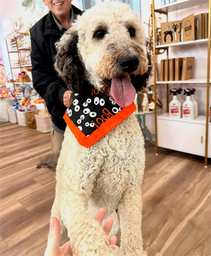 Gallery Image Screenshot_2025-11-11_134114.png