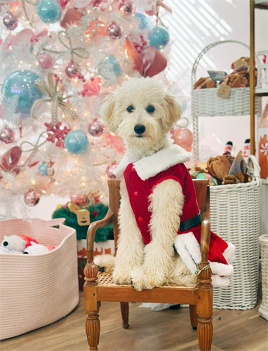 Gallery Image Screenshot_2025-11-11_134155.png