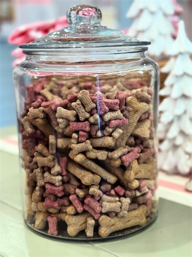 Gallery Image Screenshot_2025-11-11_134212.png