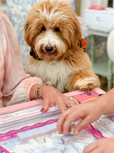 Gallery Image Screenshot_2025-11-11_134749.png