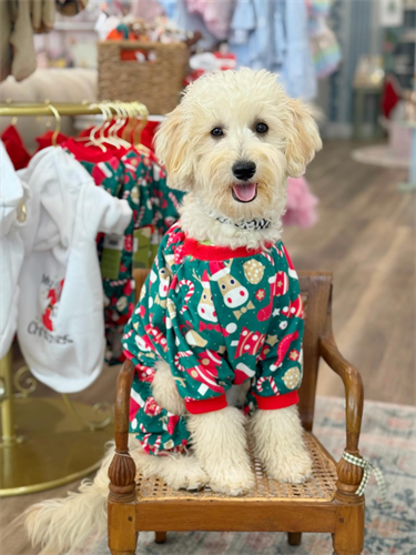 Gallery Image Screenshot_2025-11-11_134809.png