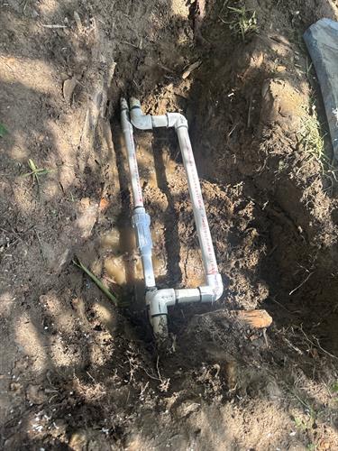 When nature goes wild. We cut roots and repiped the job.