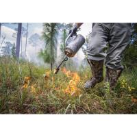 Prescribed Burn Planned for Eagle Loop Section of Gulf State Park