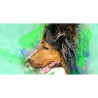 Zeke’s Rescued Paws Seeking Property or Building to Establish Local Shelter