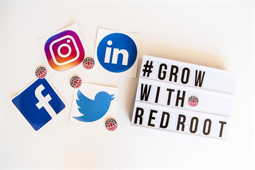 Gallery Image Red_Root_Marketing_web_-22(1).jpg