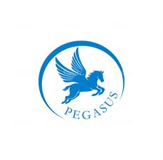 Pegasus Transport Services