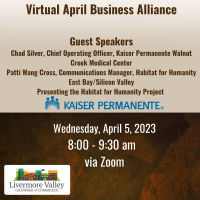 Virtual Business Alliance Meeting