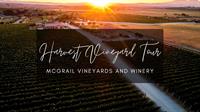Harvest Vineyard Tour