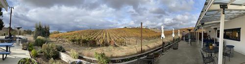 Gallery Image Patio_Pano.jpg