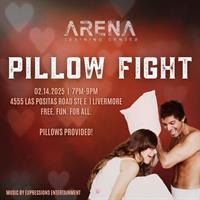 Valentine's Day Pillow Fight