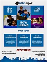 Coding Instructor