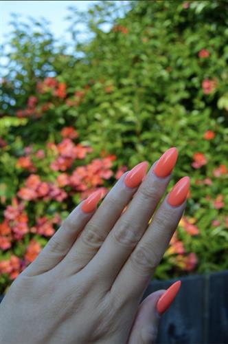 Gallery Image IMG_7525.jpeg Gallery Image IMG_7525.jpeg