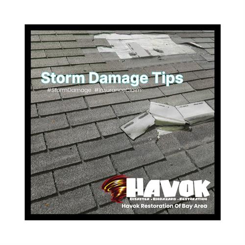 Gallery Image 557039957_122146244774713920_570221443266865526_n.jpg