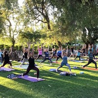 Yoga in the Vineyard at Retzlaff: Dragonfly Instructor Suzanna Spring, live music, food and wine
