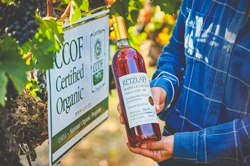 Gallery Image RetzlaffVineyards_MerlotHarvest275__.jpg