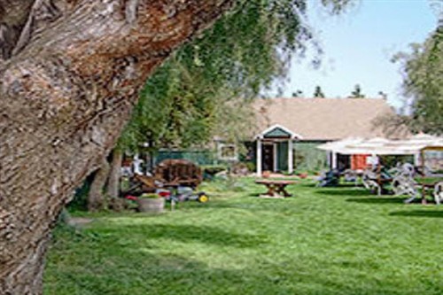 Gallery Image Retzlaff_winery_grounds.jpg
