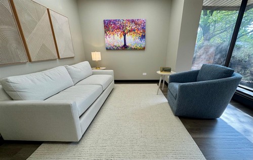 Hinsdale Therapy Office