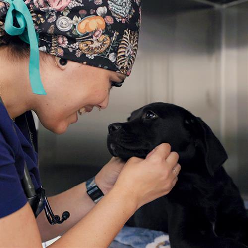 Gallery Image Hoffman-3.jpg