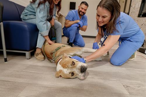 Gallery Image TPHS-2024-ExamRoom2_04577.jpg