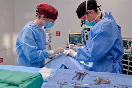 Gallery Image Thrive-TPHS-2024-TreatmentArea_05406.jpg