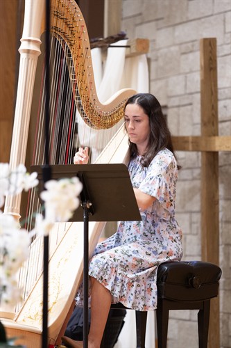 Gallery Image Harp.jpg