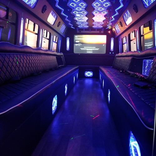 30-passenger party bus interior with lounge seating. Confirm amenities for your trip.