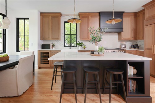 River Forest Kitchen Addition