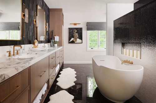 Oak Brook Primary Bathroom Remodel