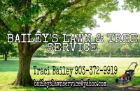 Bailey's Lawn & Tree Service