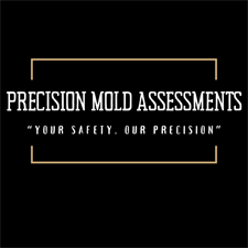 Precision Mold Assessments LLC