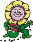 All About Herbs