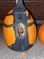 "Riverton Museum Annual Pumpkin Trail"