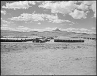 “The Heart Mountain Incarceration Camp by Aura Sunada Newlin”